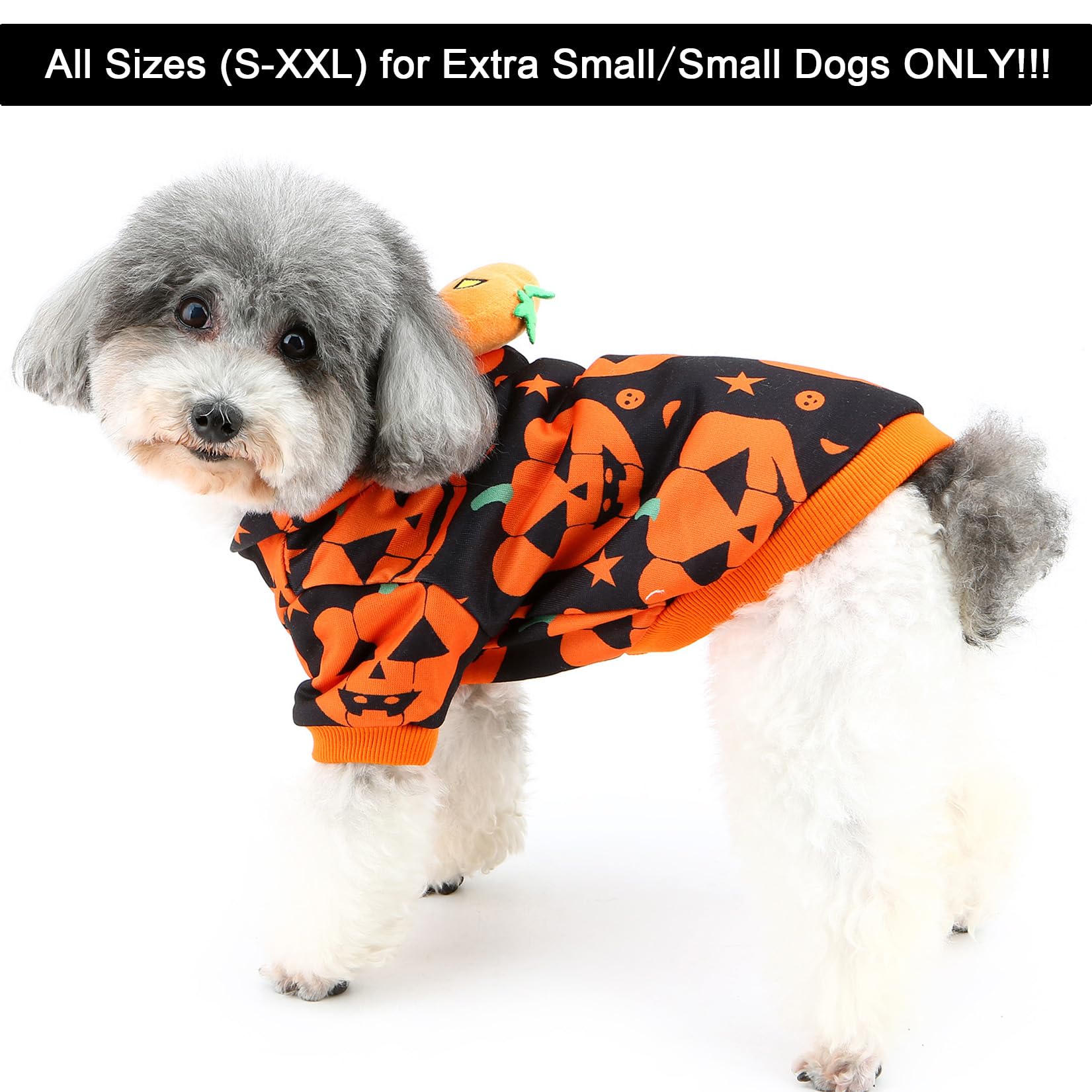 Zunea Pet Dog Pumpkin Halloween Costume for Small Dog Puppy Dogs Hoodie Shirt Pullover Pumpkin Cosplay Costumes Outfits Hooded Sweatshirt Clothes for Chihuahua Doggy M - Image 2