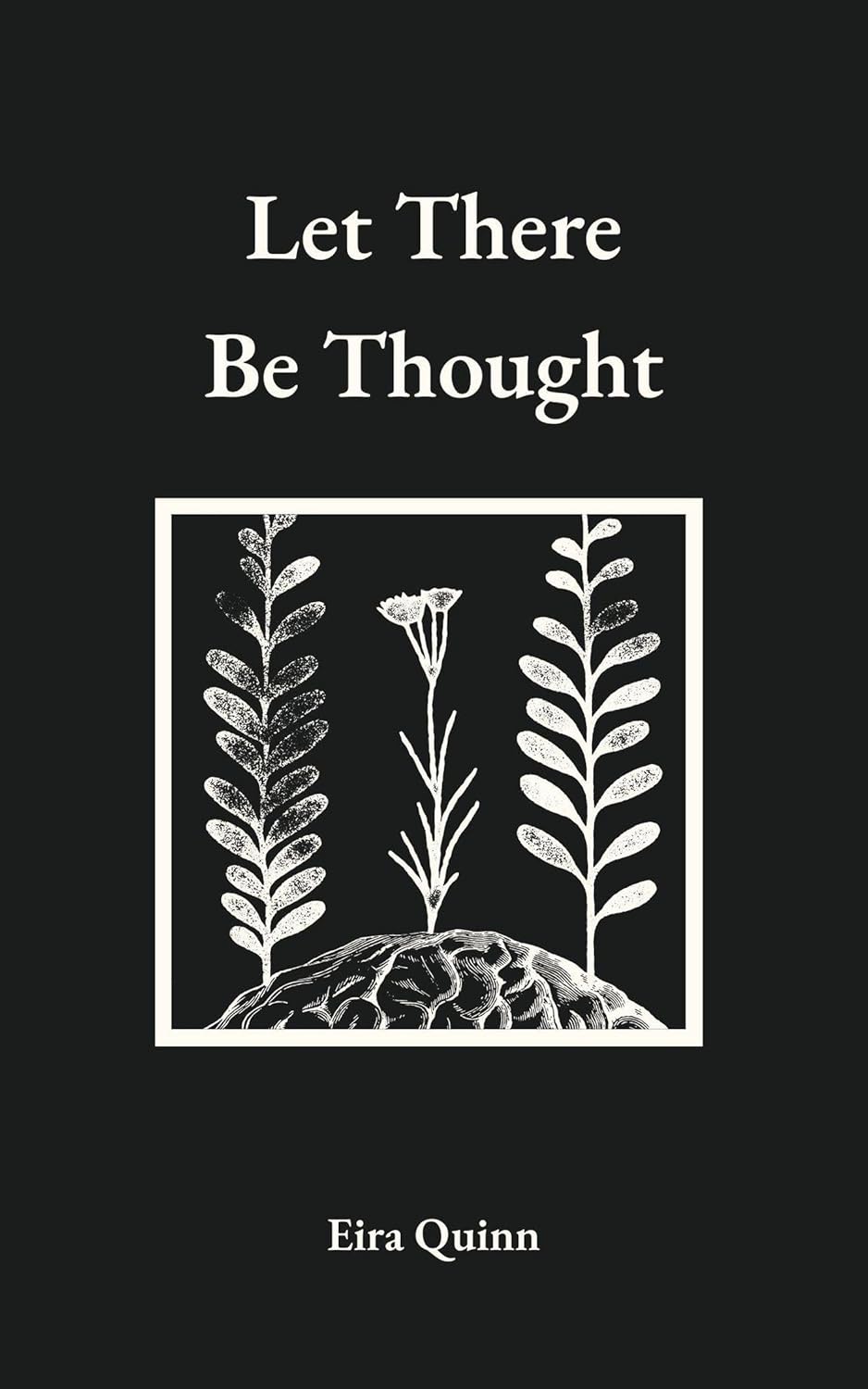 Let There Be Thought: Poems by Eira Quinn      Kindle Edition