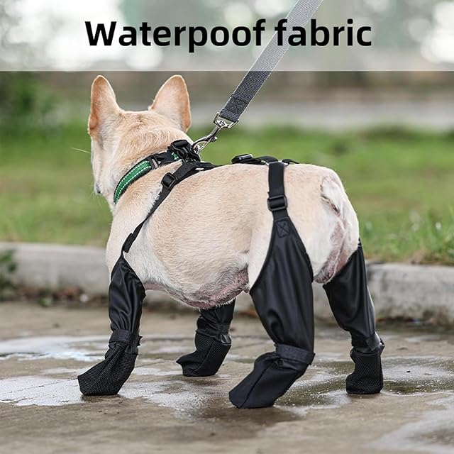 Foto 6 de 8 de Dog Hiking Booties, Durable Dog Shoes Leggings, Dog Boots Suspenders