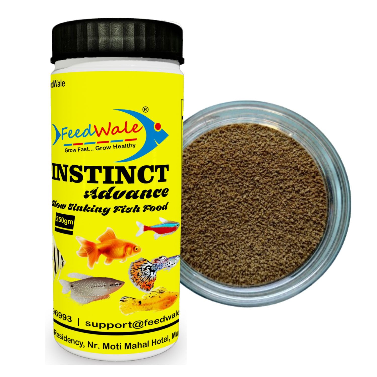 See full amazon price history chart for FeedWale Instinct Advance 250gm Slow Sinking Fish Food for Small Aquarium Fish Like Tetra, Angel, Molly, Guppy, Gourami, Platy, Color Tetra, Etc FeedWale Instinct Advance 250gm Slow Sinking Fish Food for Small Aquarium Fish Like Tetra, Angel, Molly, Guppy, Gourami, Platy, Color Tetra, Etc (B0CYT1XX9G) Amazon Price History, Amazon Price Tracker