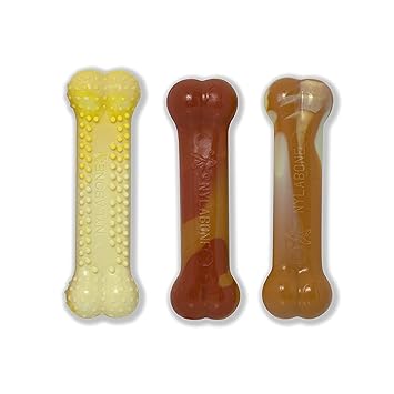 Nylabone Flavor Frenzy Power Chew DuraChew Dog Toys, Summer BBQ Flavors