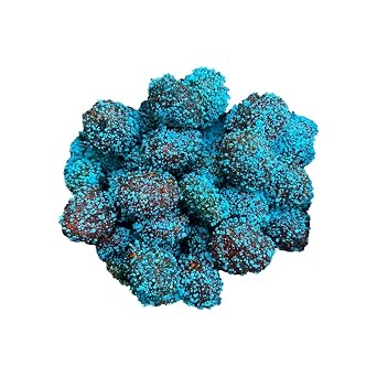 Extra Sour Gushers, Super Tangy Candy Bites, Irresistible Extra Sour Gummy Candy (8 Ounce, Blue-Raspberry)