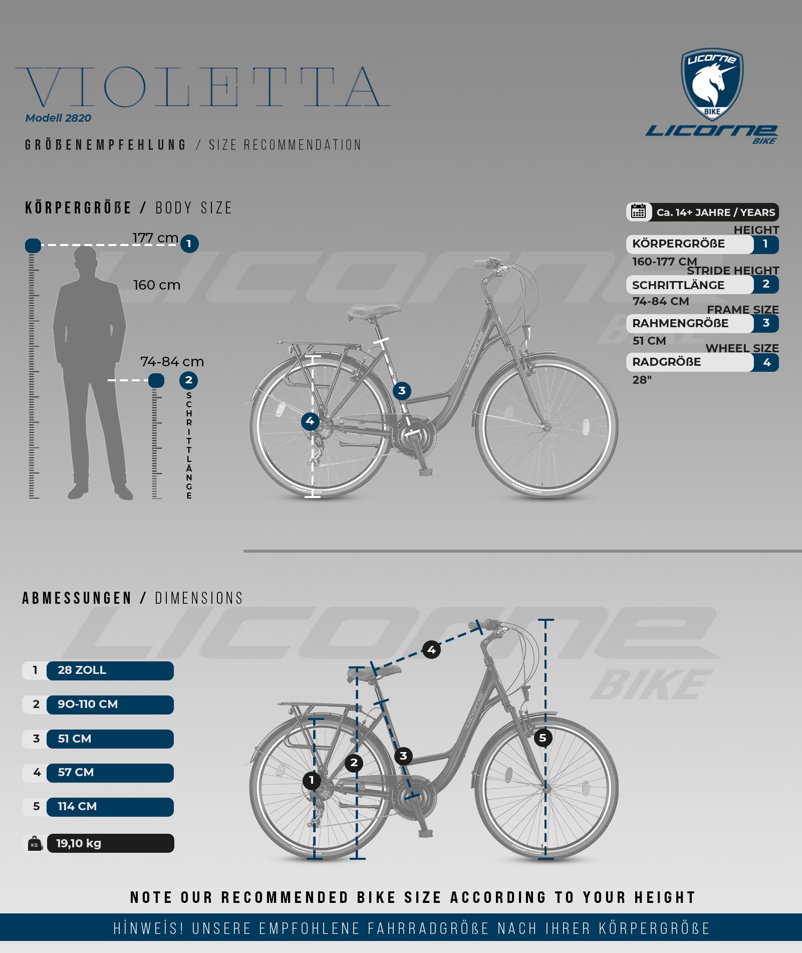Licorne Bike VIOLETTA Premium City Bike en 24,26 y 28 pulgadas - Bicicleta para niñas, niños, hombres y mujeres - 21 velocidades - Bicicleta holandesa
