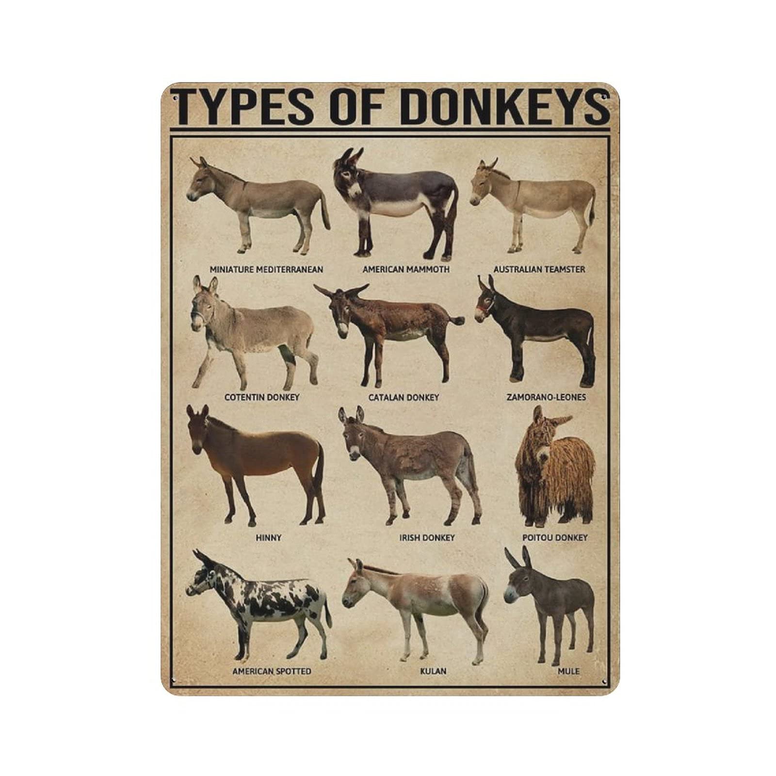 rayprint Knowledge of The Types of Donkeys Tin Sign Metal Plaque Art Hanging Iron Painting Retro Home Kitchen Garden Garage Wall Decor 16"x12"