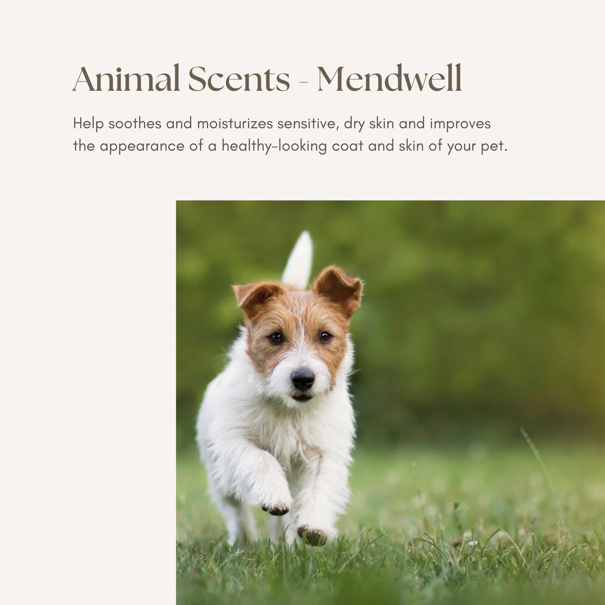 Young Living Animal Scents Mendwell, 15ml | Animal Care | Pet Essential | Supports Healthy-Looking Coat & Skin | Soothes and Moisturizes Sensitive, Dry Skin | Infused with Essential Oils