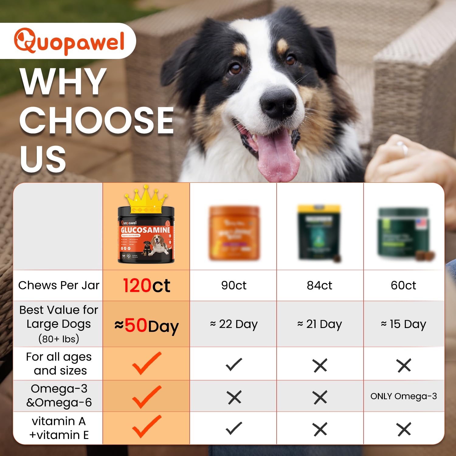 Hip and Joint Supplement for Dogs with Glucosamine, Chondroitin, MSM & Yucca - Glucosamine for Dogs，Joint Pain Relief Chews for Mobility & Discomfort-Chicken Flavor, 120 Count - image 6