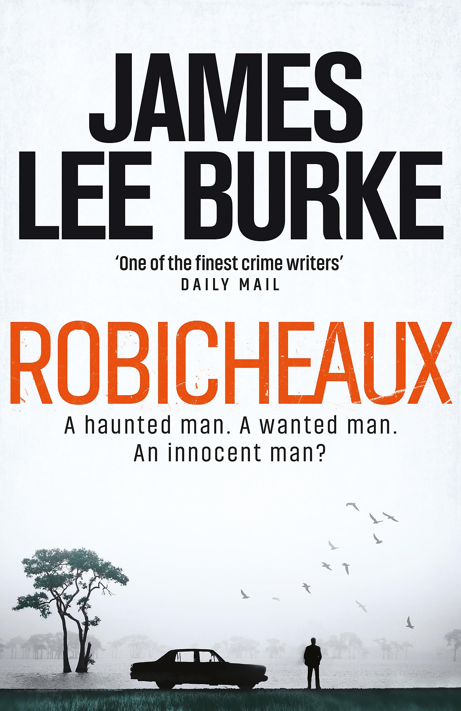 Robicheaux by James Lee Burke PAPERBACK 9781409176473