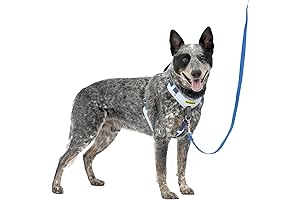 PetSafe Easy Walk Comfort Dog Harness: Perfect Fit for Easy Walks