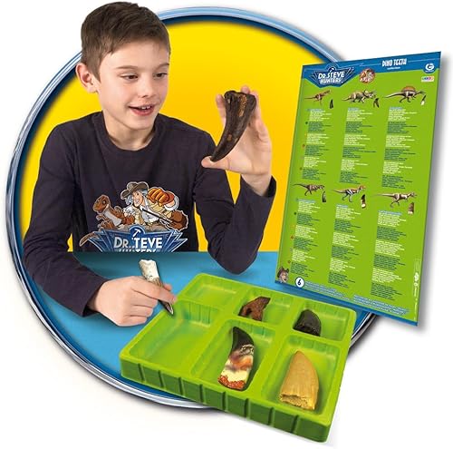 Miniatura 3 de Geoworld Dino collection-6perfecto réplica dinosaurio dientes Kit de Ciencia