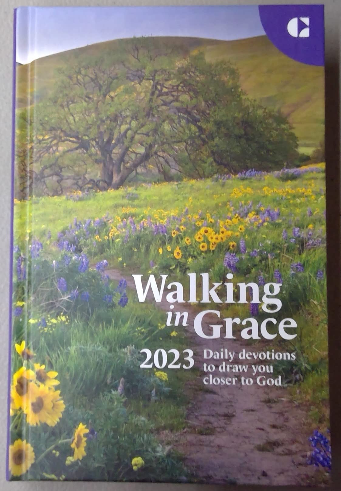 Cover of Walking in Grace 2023