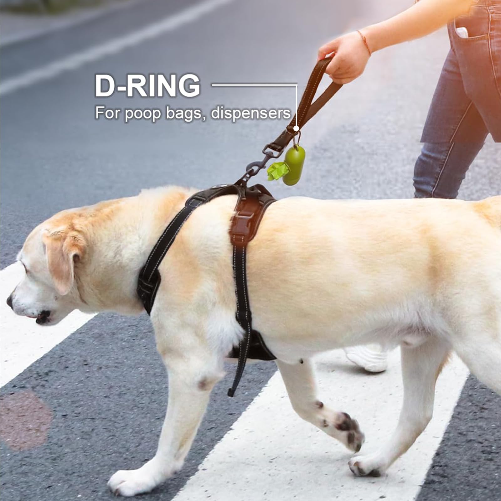 Joytale Dubbelzijdig reflecterende hondenriem, 180 cm/150 cm/120 cm, gevoerd handvat, stevige nylon riemen voor wandelen met kleine en middelgrote honden, oranje, 180 cm