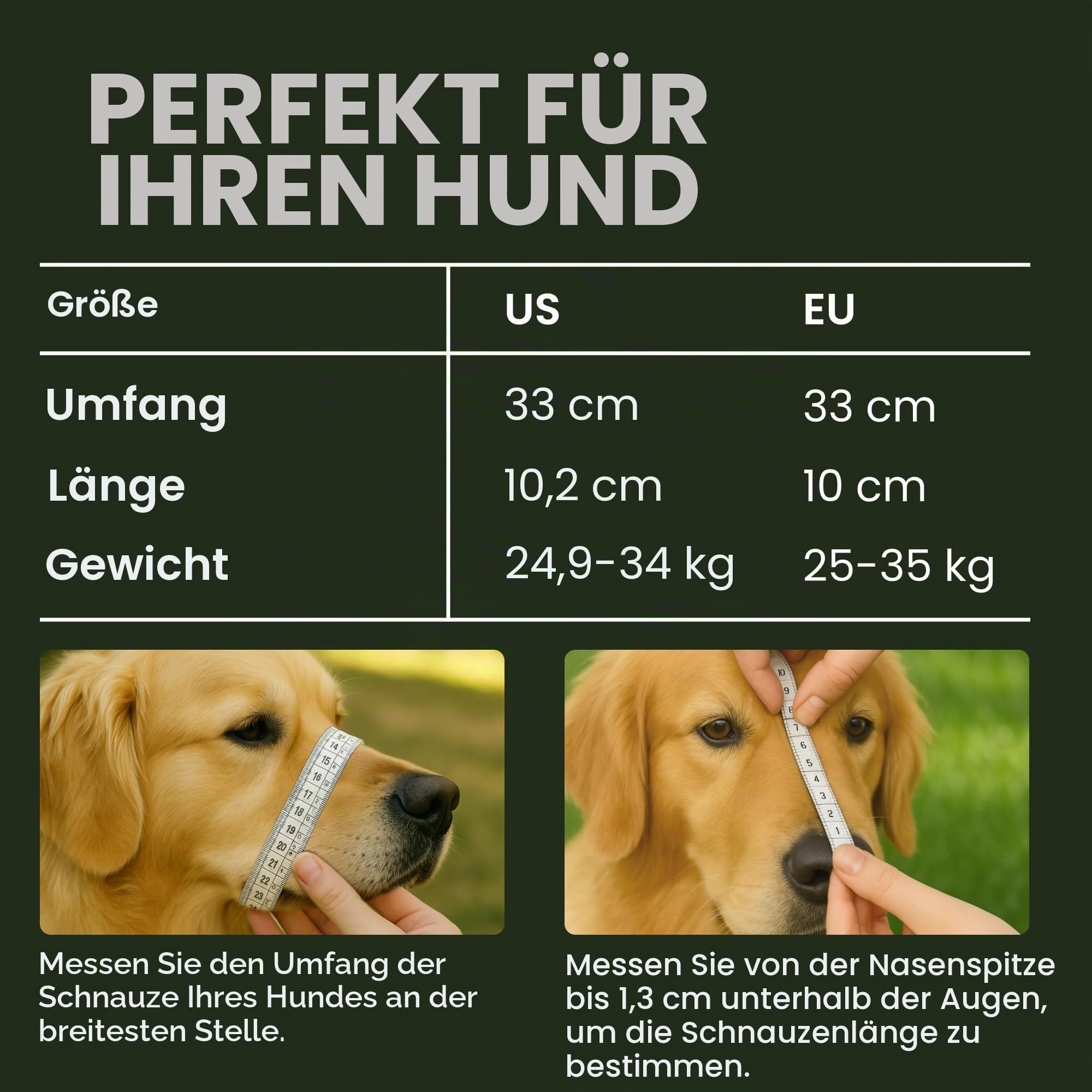 BRONZEDOG Drahtkorb Hund Maulkorb Metall Hund Maulkorb Leder verstellbar (Size 5: Belgian Malinois & Golden Retriever)