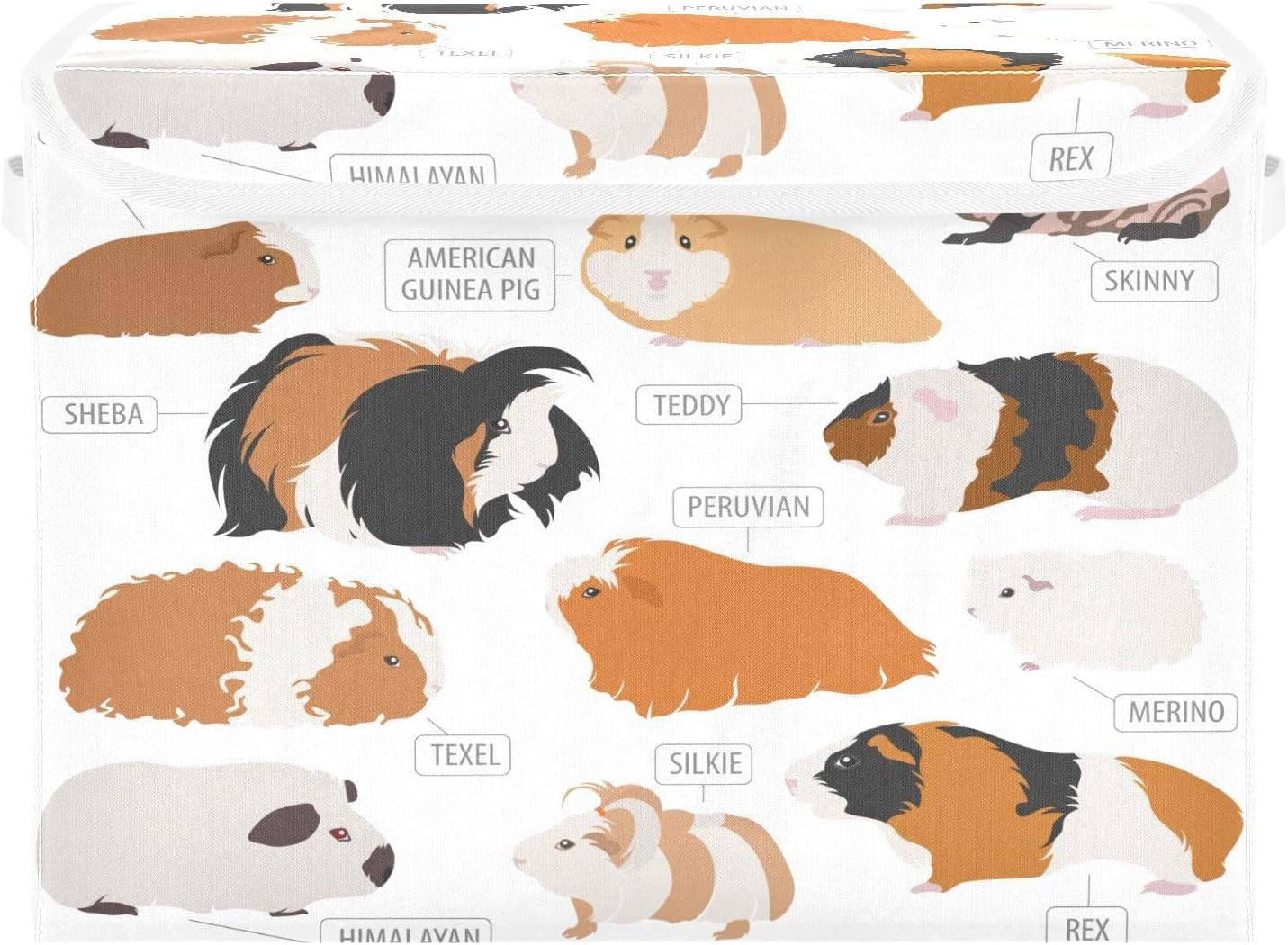 Krafig Hand Drawn Animal Guinea Pig Foldable Storage Box