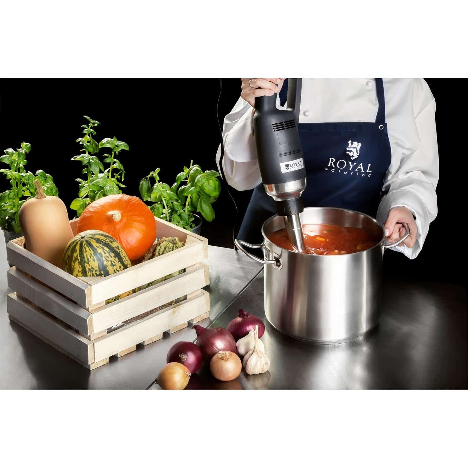 Royal Catering - RCSM-500-400P - Batidora de brazo profesional - 500 W - 400 mm - 6.000-18.000 RPM