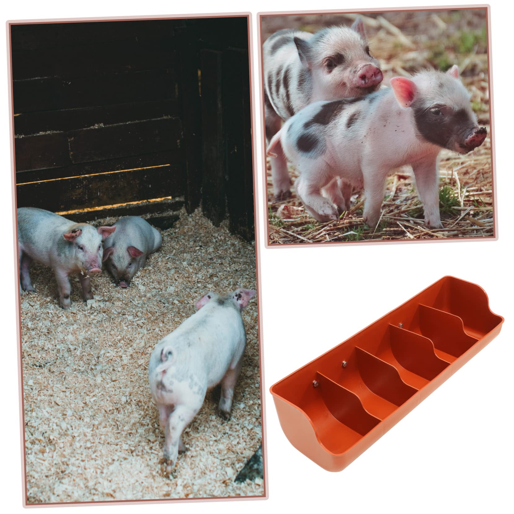 BESPORTBLE Trogolo Porcellino Salvadanaio Cavia Alimentatore Di Cibo Per Bestiame Mangiatoia Per Maiali Alimentatore Di Recinzione Con Clip Cacciatore Di Polli Galline Orange Plastica