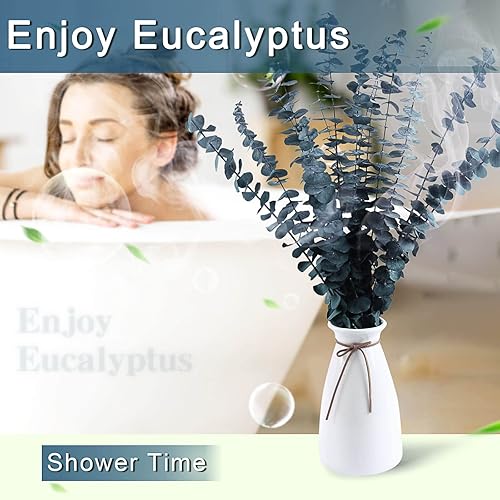 Miniatura 8 de Paquete de 52 piezas de flores secas de eucalipto y lavanda para ducha, 17 pulgadas, tallos de hojas de eucalipto de dólar plateado naturales,