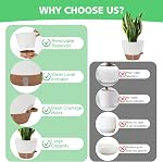 12" 10" 9" 8" Self Watering Pots with Water Level Indicator, Large Plastic Planters Set with Mesh Drainage Hole and Removable Saucer Reservoir, Big Flower Pot for Indoor Outdoor Plants - White