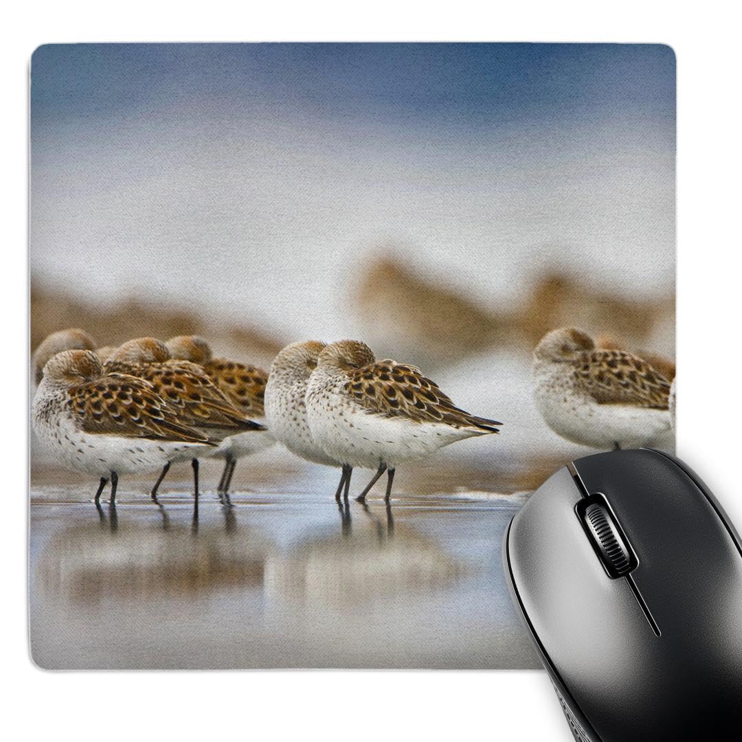3dRose Gartenflagge 30,5x45,7 Cm | Bottle Beach Vogelmotiv, Polyester Einseitig Bedruckt