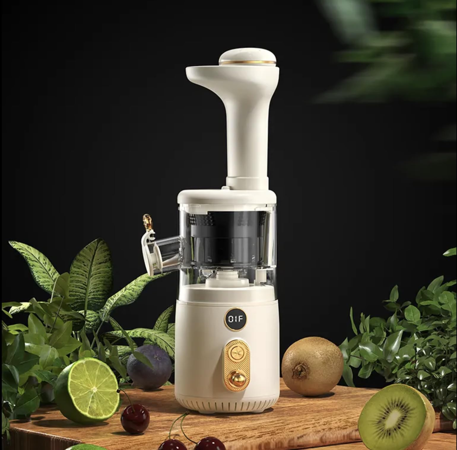 MINI Slow Juicer Extractor Cold Press Portable Usb Recharge Slow Juicer Maker Machine Nutrient and Vitamin Dense BPA-Free