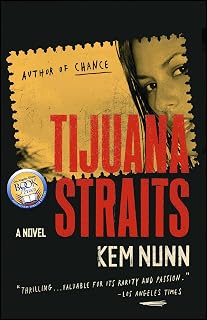 Tijuana Straits: A Novel