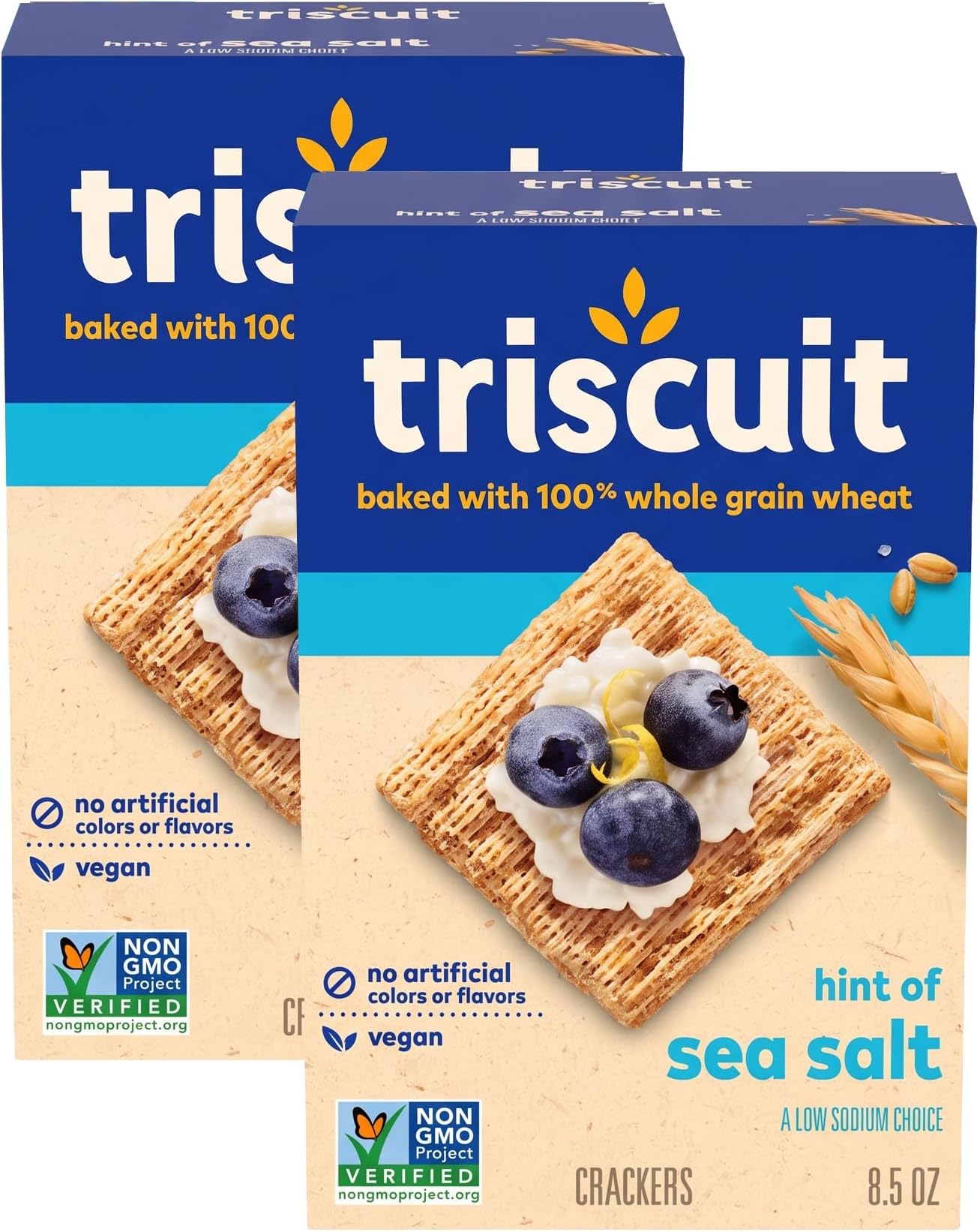 Hint of Sea Salt Whole Grain Wheat Crackers, Vegan Crackers, 6-8.5 oz Boxes (Pack of 2)