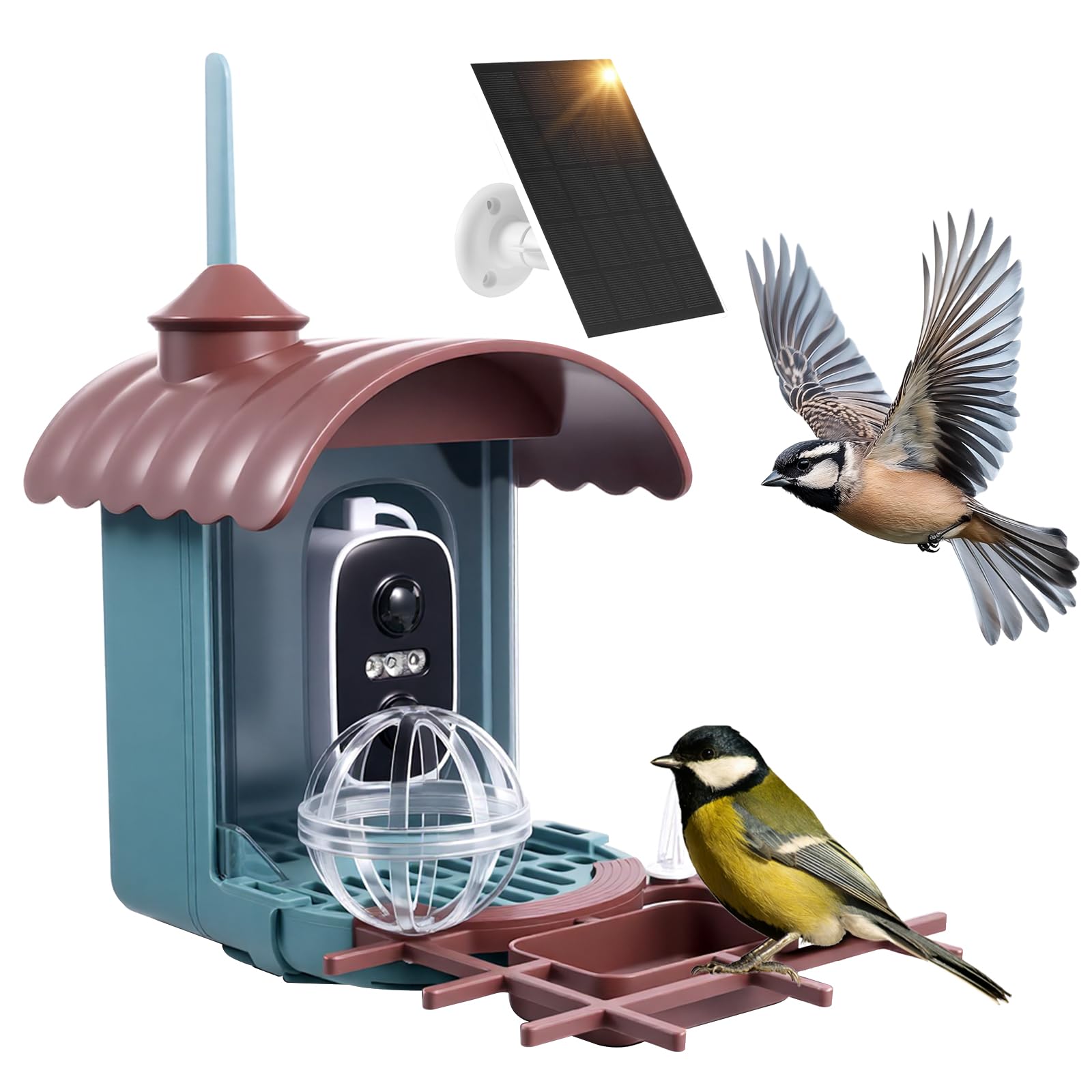 Nichoir à Oiseaux avec Caméra 4MP Solaire mangeoire Station d'alimentation Enregistrement vidéo Photo Identification IA Détection Mouvement Notification