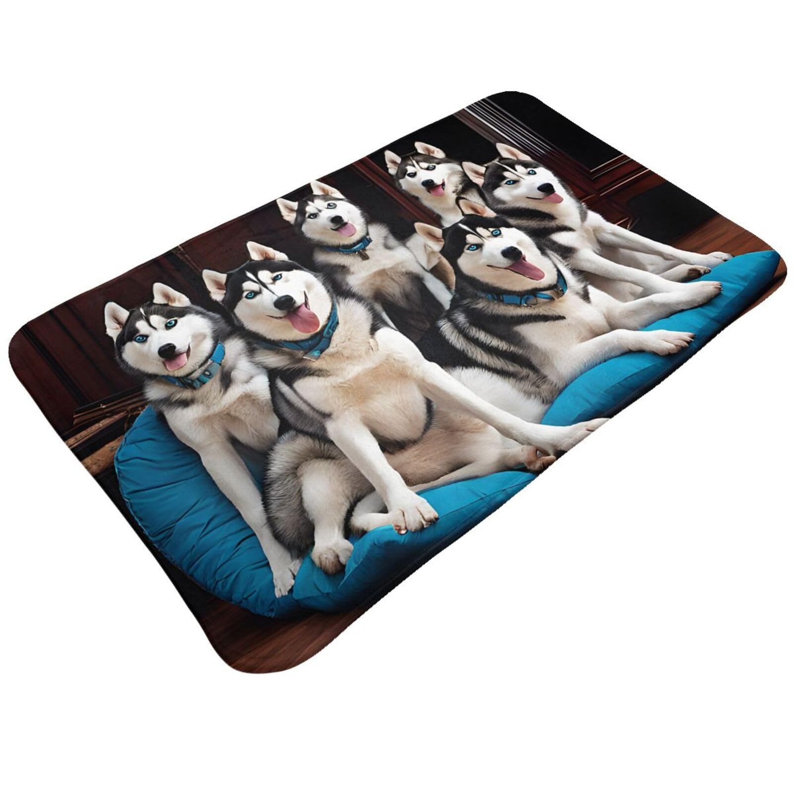 Lovely Husky Print Living Room Bathroom Kitchen Anti Slip and Absorbent Carpet, Indoor Entrance Door Muddy Floor Mat, Ultra Soft Washable Carpet 21x31.5 Inches