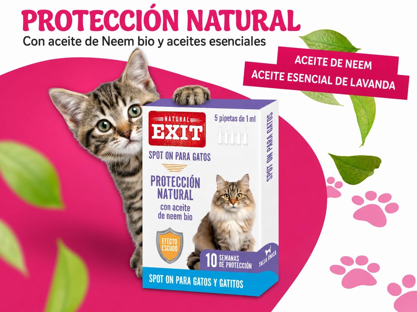 Spot On Antiparasitario Natural para Gatos y Gatitos de Larga Duración, 5 Pipetas de 1 ml, Protege contra Pulgas, Garrapatas, Flebotomos y Mosquitos