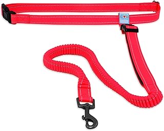 Pawtitas Dog Leash Running Belt for Women Or Men Waist Belt Hiking Accessories Jogging Walking Or Running Hands Free Dog Leash Can Be Use with A Dog Collar l Harness Puppy Training Reflective Red