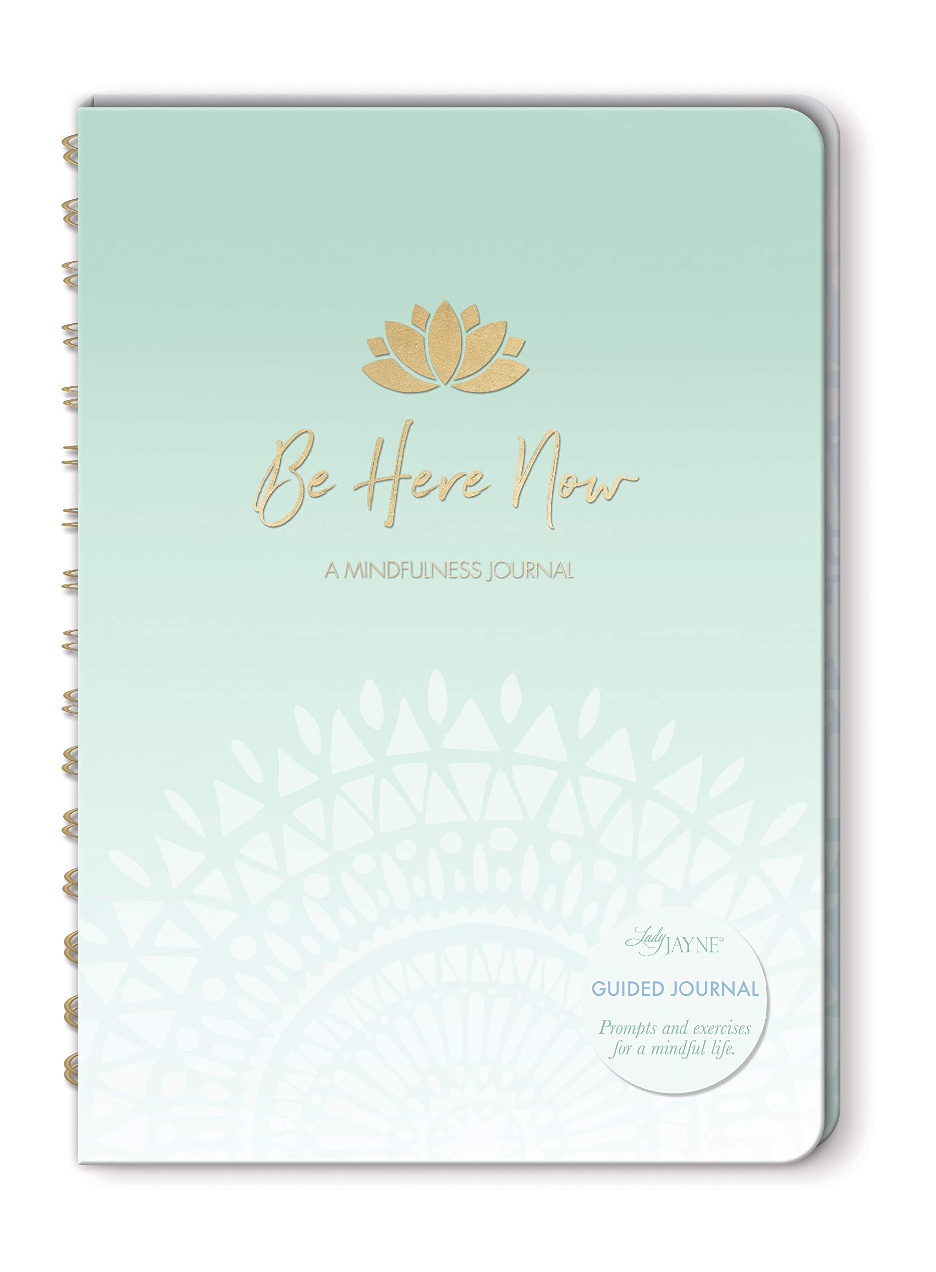 Lady Jayne Girl Power Guided Journal (14763)