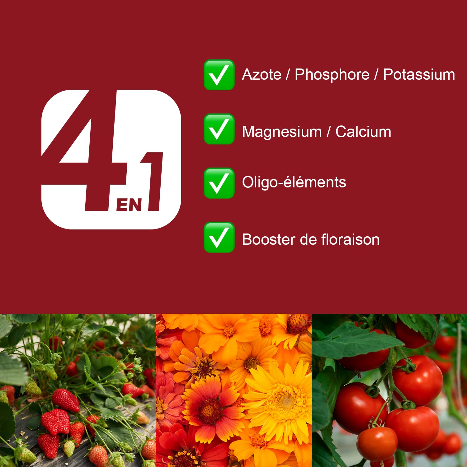 Bio Technology® | Engrais Floraison de Qualité | Fertilisant Floraison Universel| Super rendement et améliore Les arômes | Fabriqué en France | Bloom A+B 250 ML