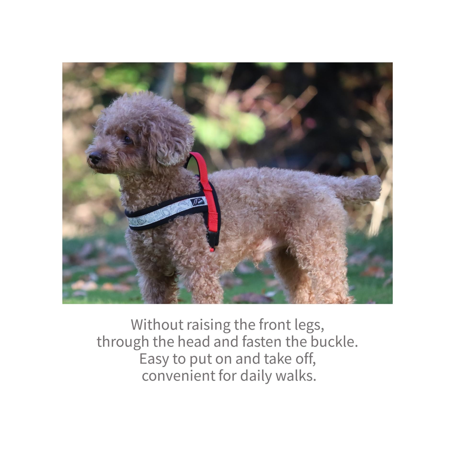 Hakusan - Pettorina per cani con drago, realizzata a mano, sicura, senza stress, con buskles one-touch, indossabile velocemente, riflettore, utile hundle, 1,5 - cane medio, nero × turchese