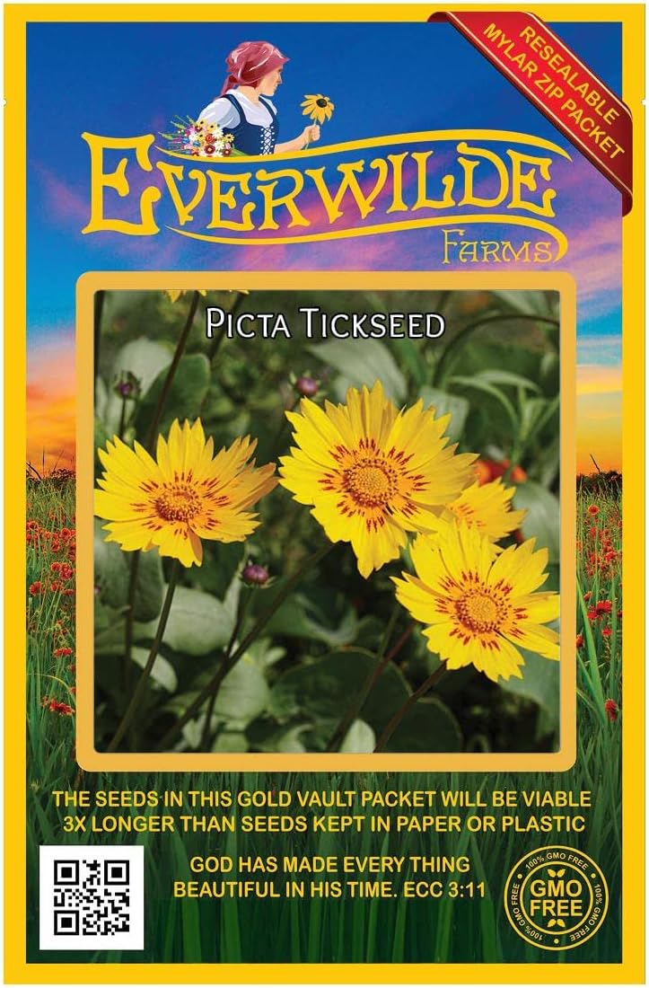 Everwilde Farms - 1 Lb Picta Tickseed Native Wildflower Seeds - Gold Vault