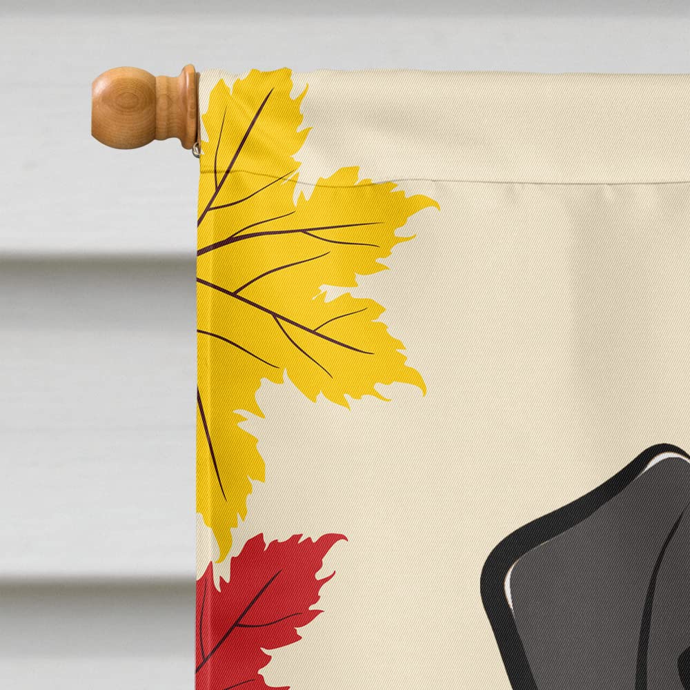 Bandiera Da Giardino E Casa In Tela Pesante Thanksgiving - Labrador Nero, Double Face, 40x28 Cm, Made In USA, Tesori Dell' Caroline