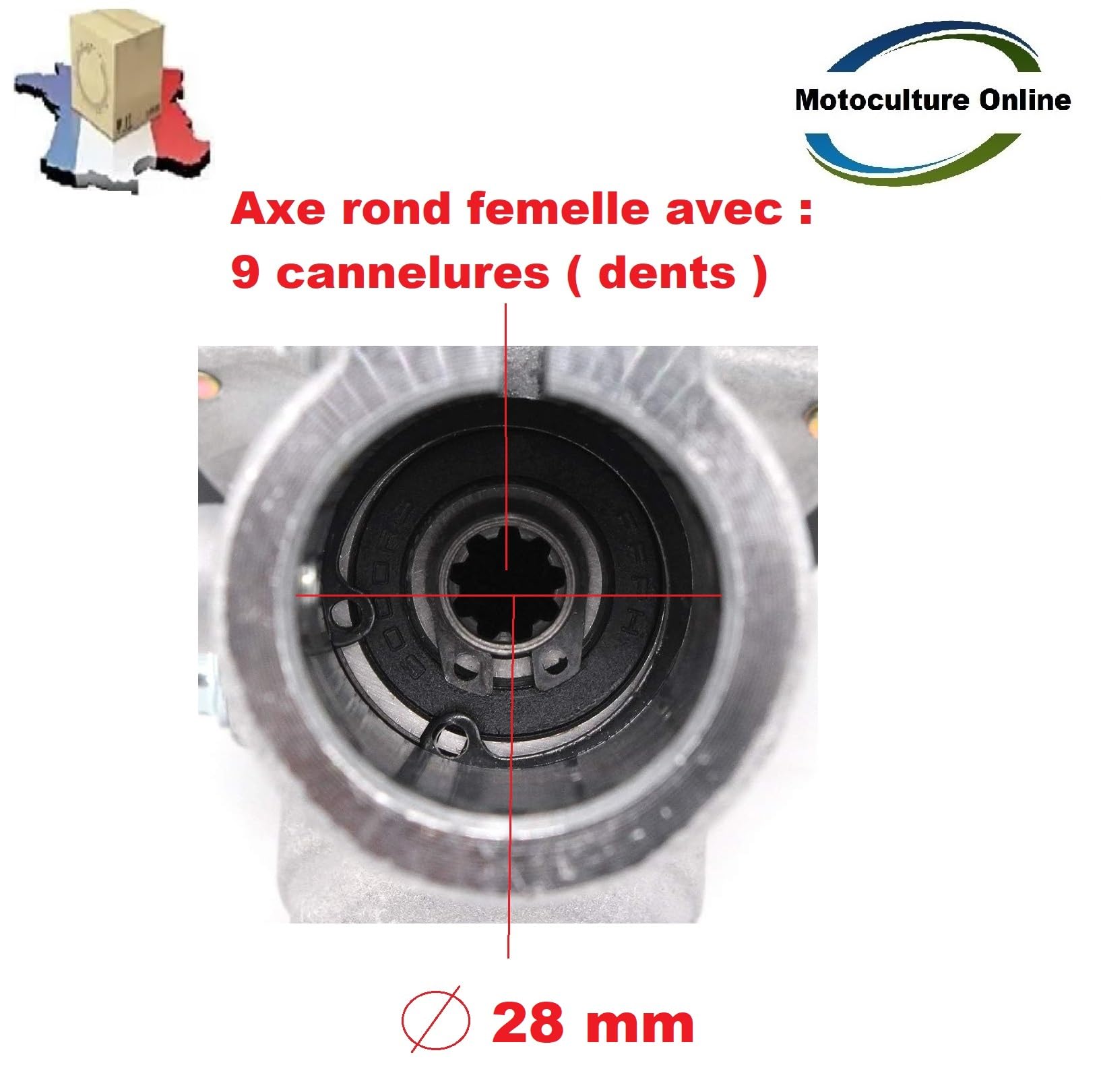 Tête D'engrenage 28mm 10 Dents Pour Débroussailleuse Oleo EM780 - Pièce De Rechange Coupe-bordures - 11