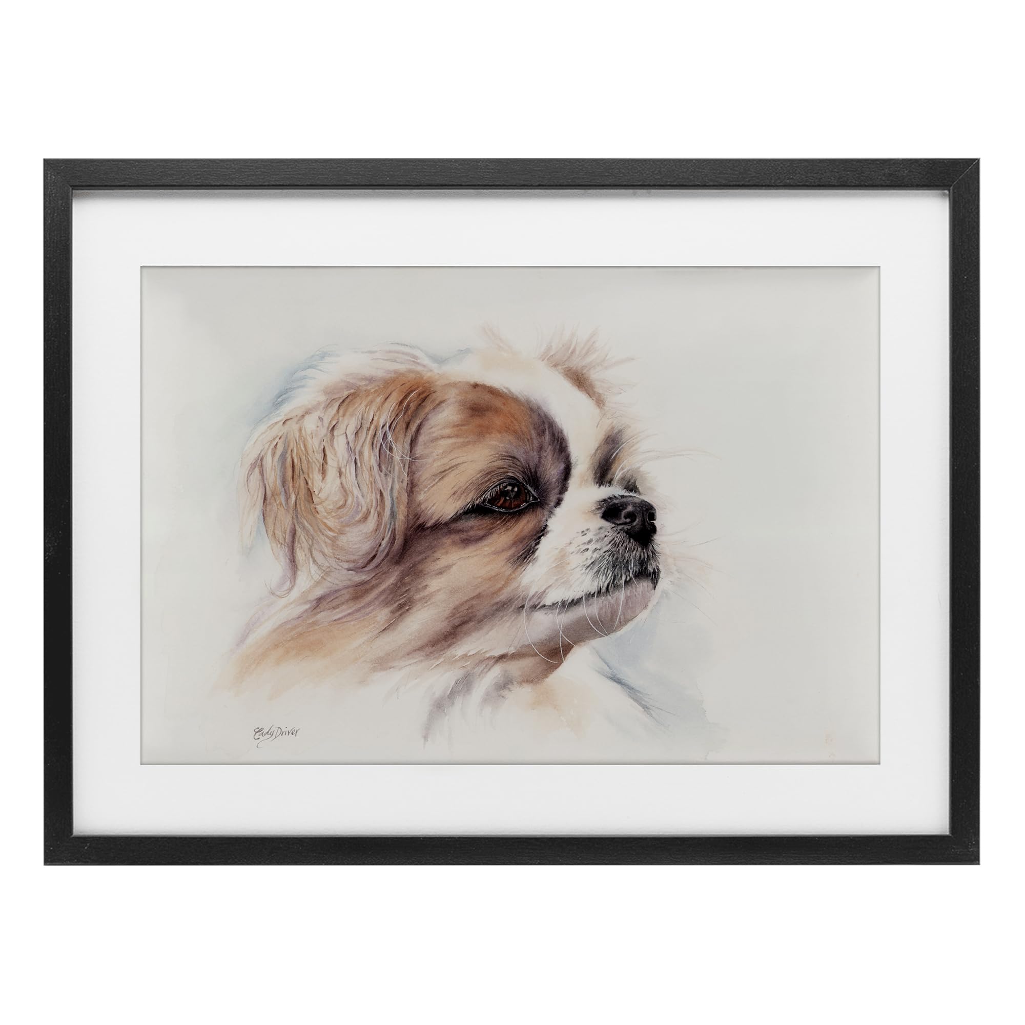 Stupell Industries Expressive Dog Face Portrait Black Framed Print Under Glass, design by Cady Driver, 14 x 20