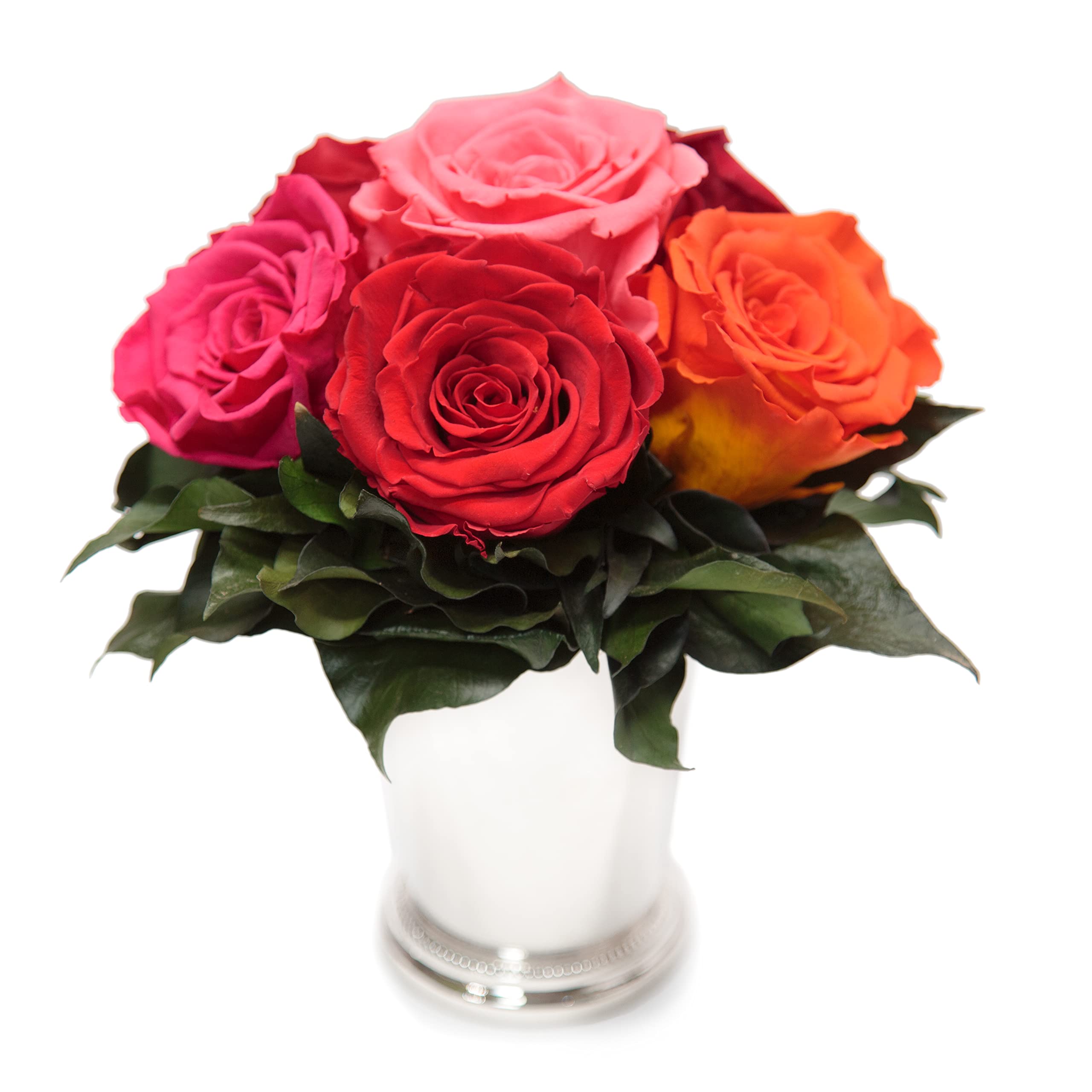 Rosengesteck 6 konservierte Rosen mit Efeublättern Infinity Rosenbox rund 3 Jahre haltbar Ø 20-23 cm Höhe 21 cm