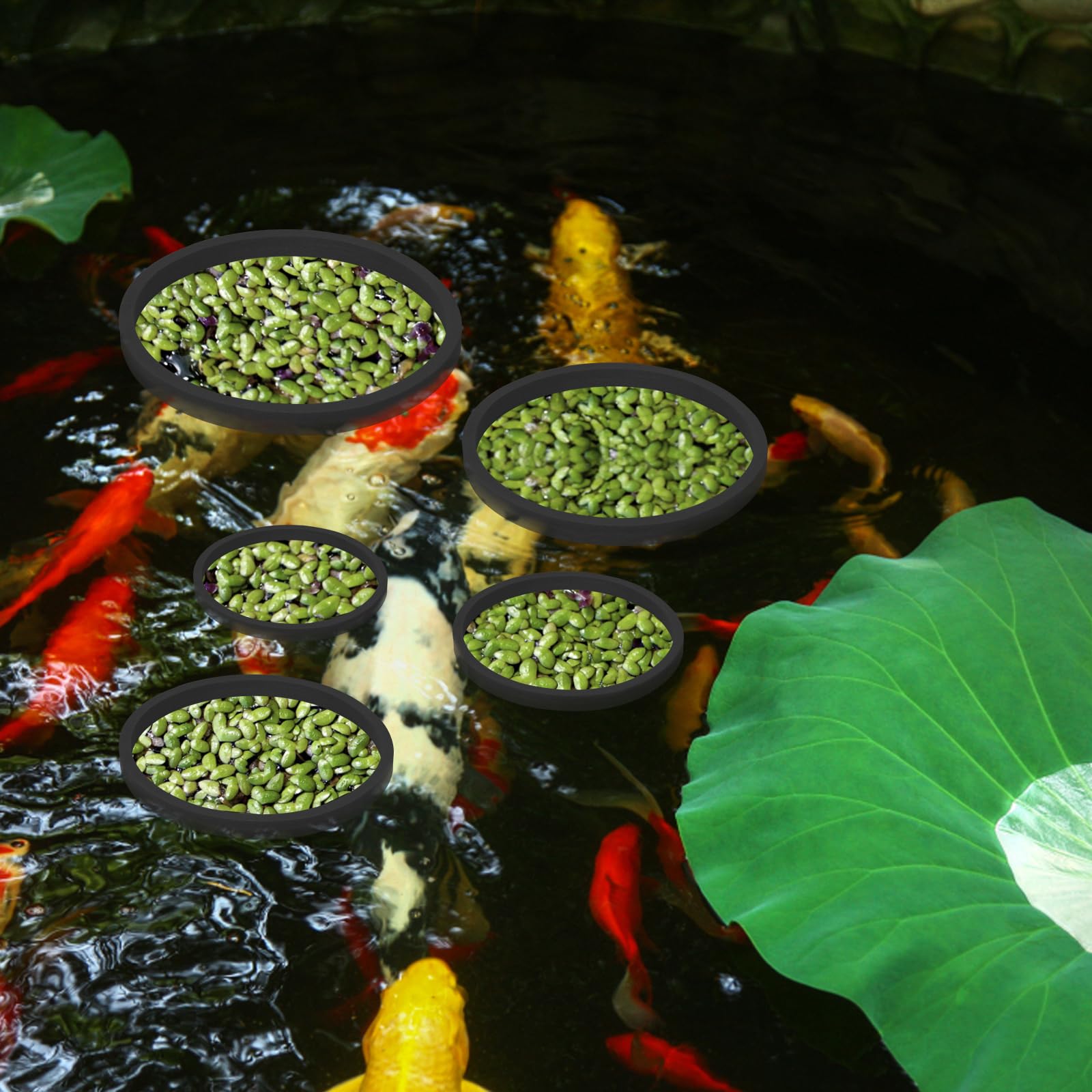 PEUTIER 5 Pièces d'Anneaux Flottantes d'Aquarium, Corral Flottantes en Mousse Anneau d'alimentation Poisson (Noir)