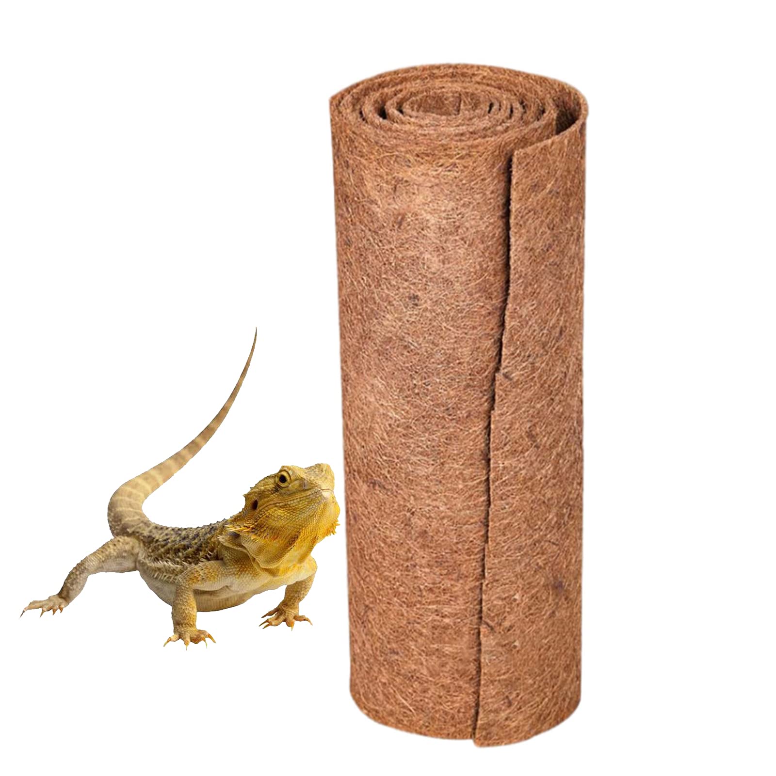 mat lizard