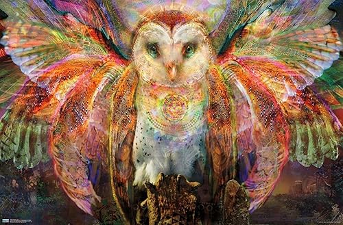 Vista 44 de Trends International Jumbie - Owl Wall Poster, 34L x 22.4W, Mahogany Framed Version
