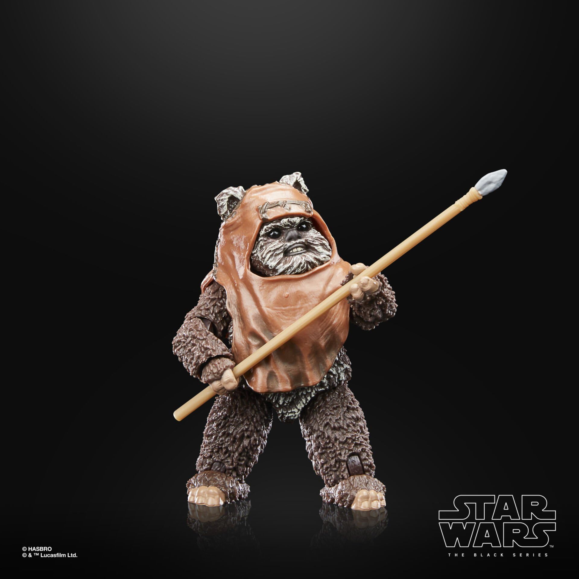 Star Wars Hasbro The Black Series - Wicket - Juguete a Escala de 15 cm - El Regreso del Jedi - Figura de colección del 40 Aniversario - Edad: 4, F7050 | Star Wars Figura de acción del 40 aniversario de 6 pulgadas (2023 Wave 1) - Wicket