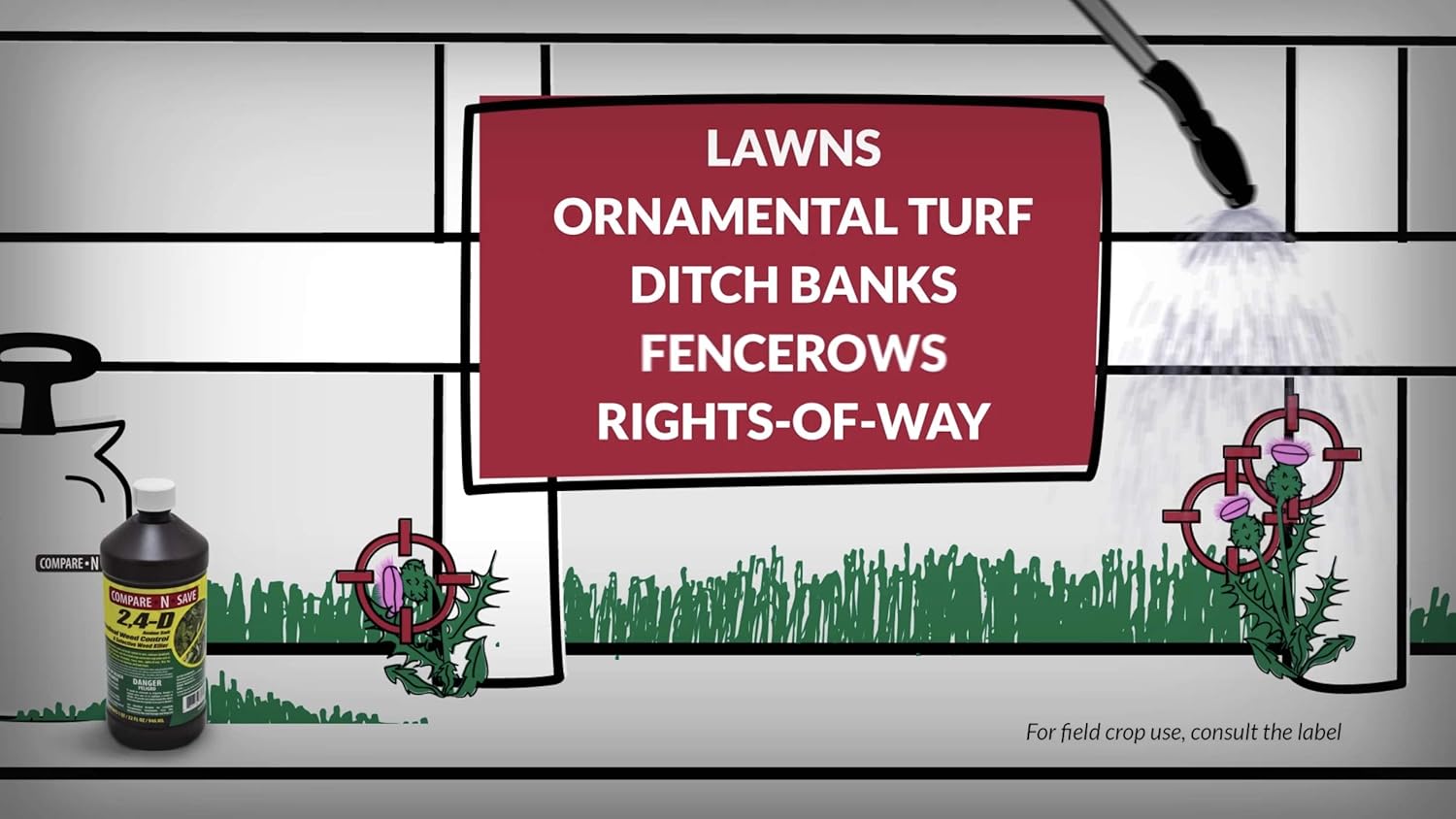 Compare-N-Save 2-4-D Amine Broadleaf Weed Killer, 32-Ounce
