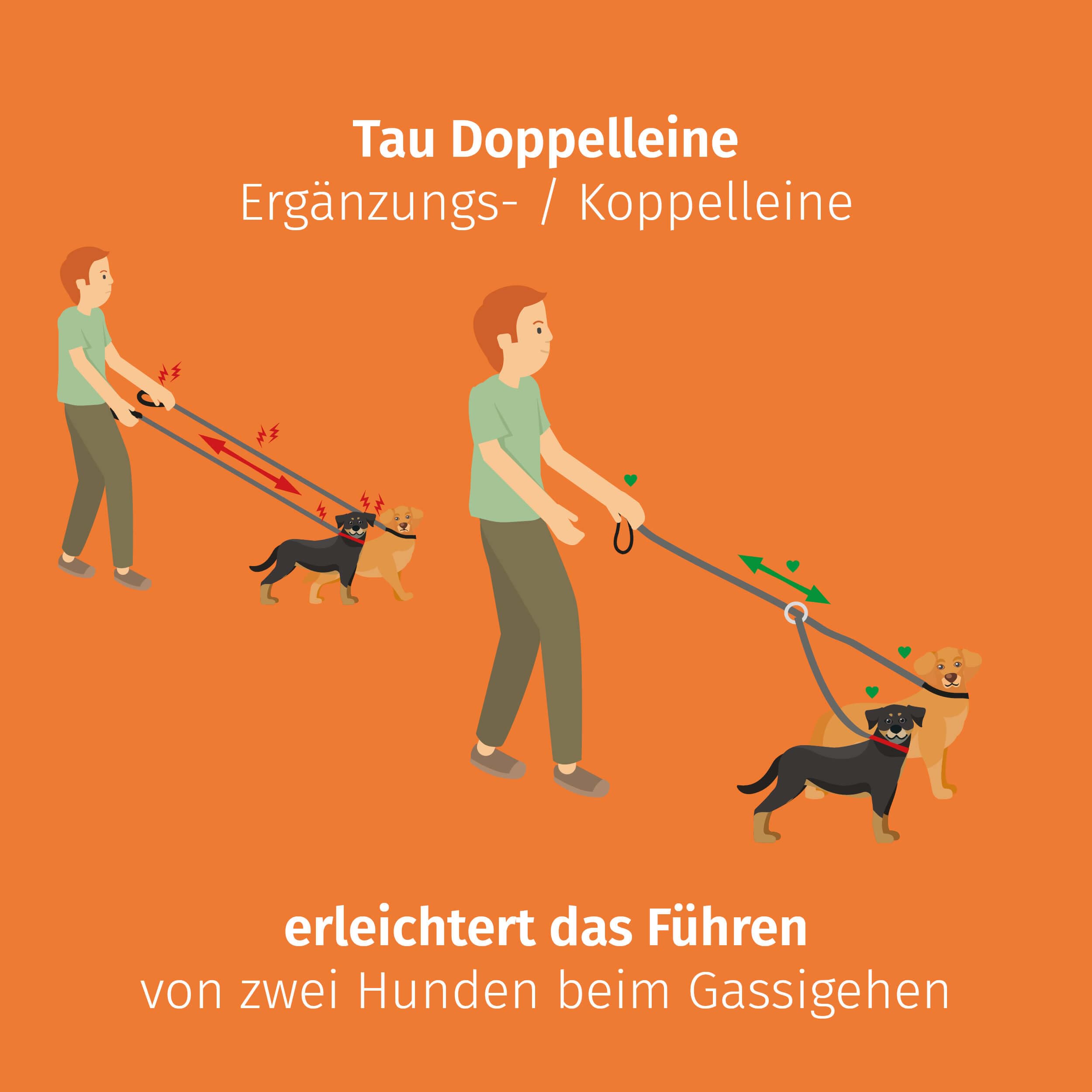 Floxik Tau Doppelleine für 2 Hunde grau/orange - reflektierend, dehnbar und verhedderungsfrei – Doppelte Hundeleine zum Koppeln - perfekt für kleine bis mittelgroße Hunde