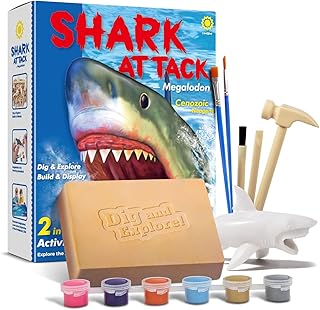 EGGBOX Megalodon Skeleton Excavation Set for Children - 2-in-1 Dig & Build Kit with Graffiti Mammoth, Experiments for Children from 6, Fossils Paleontology Experiments & Craft Set for Boys Girls