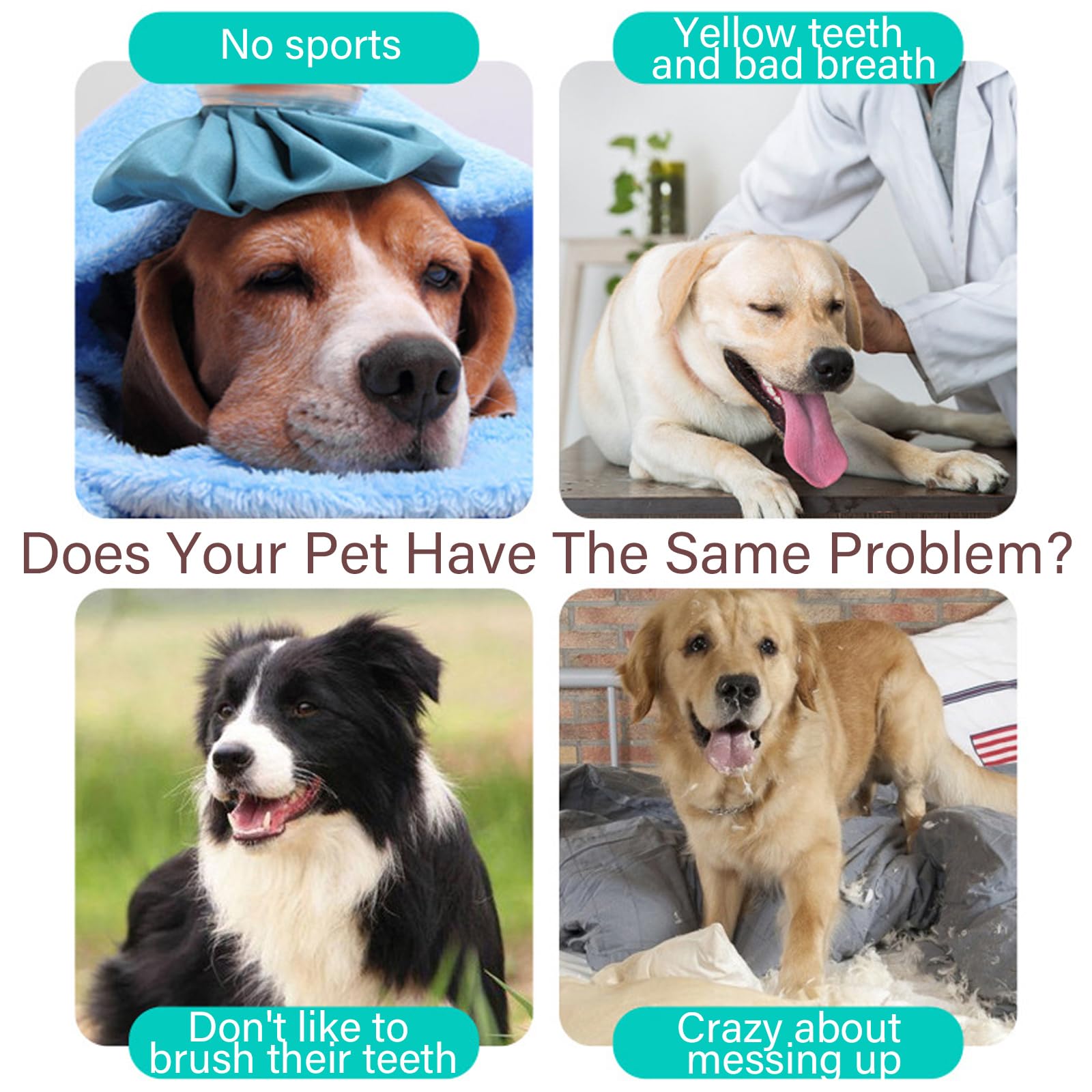 BSITSSS 2 Pcs Dog Chew Toys, Dog Toothbrush Toy Indestructible Dog Toys - Image 4