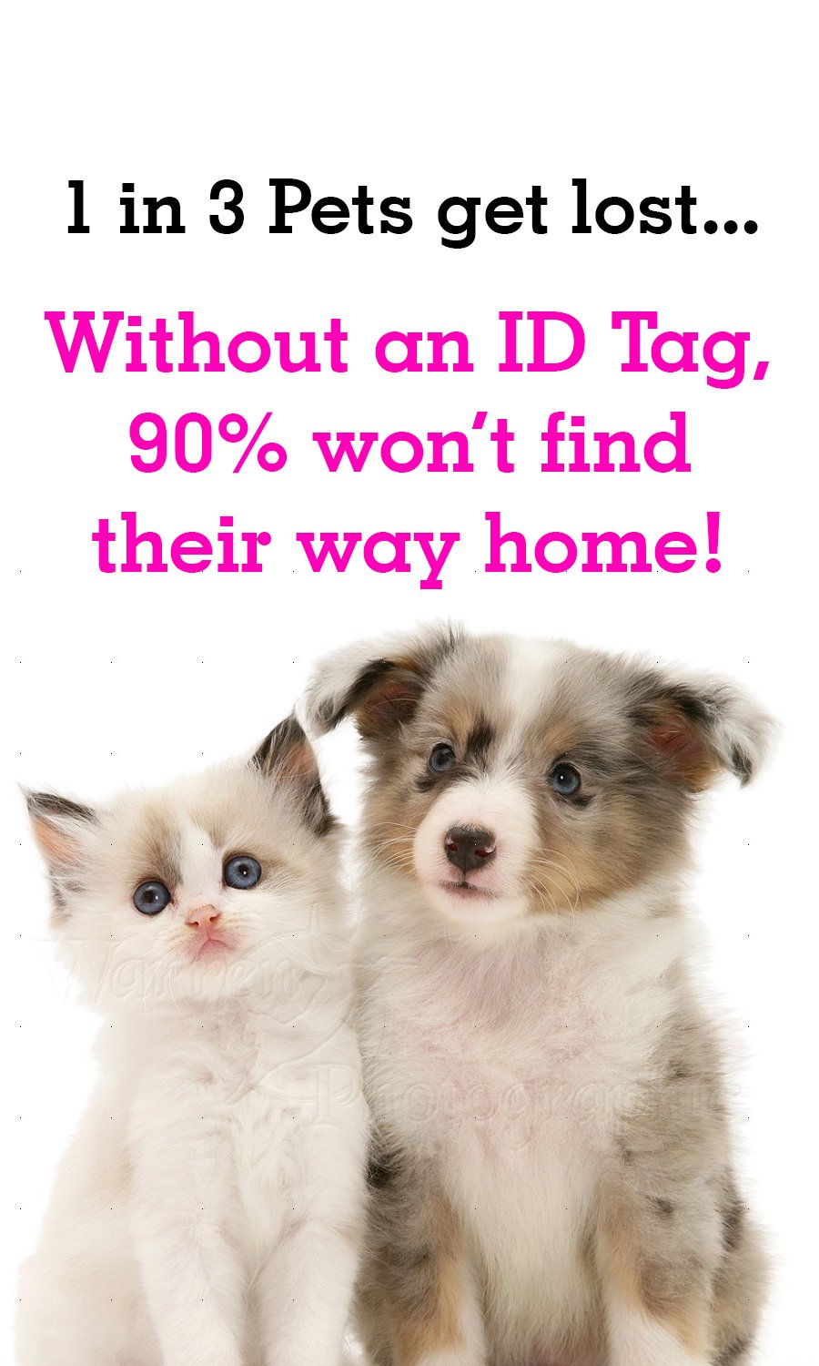 uDesignUSA Halloween Themed Pet Id Tag for Dogs & Cats Personalized w/Name & Number (Pumpkin, Bone 1.5x1)