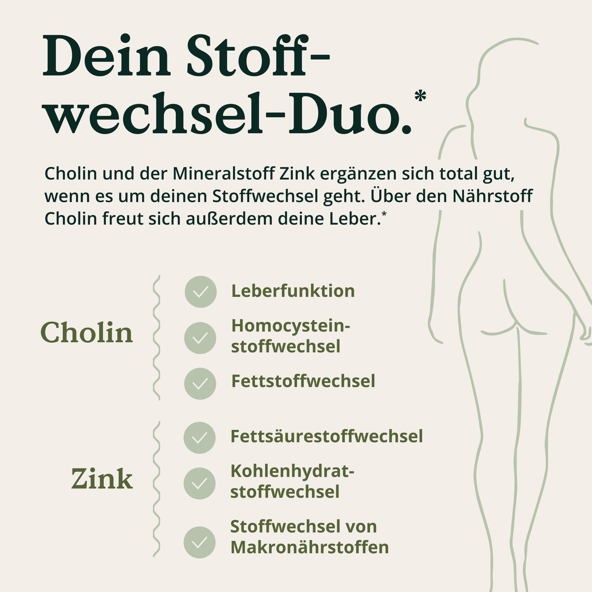 NATURE LOVE® Leber Komplex - 120 Kapseln - mit Mariendistel, Cholin, Artischockenextrakt, Curcuma & Zink - Hochdosiert, vegan, laborgeprüft und in Deutschland produziert