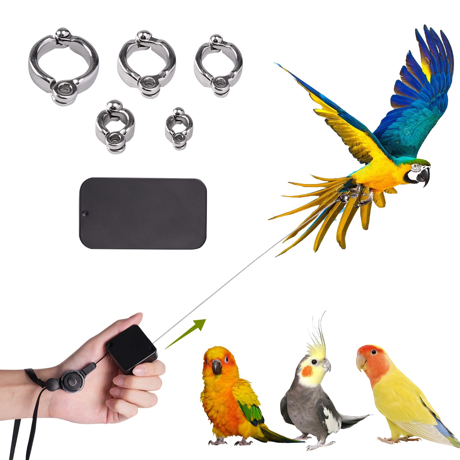 Boxili Retractable Bird Leash, Anti-Bite Parrot Flying Training Rope, Bird Harness with 5 Different Size Foot Ring and Feeder (2M)