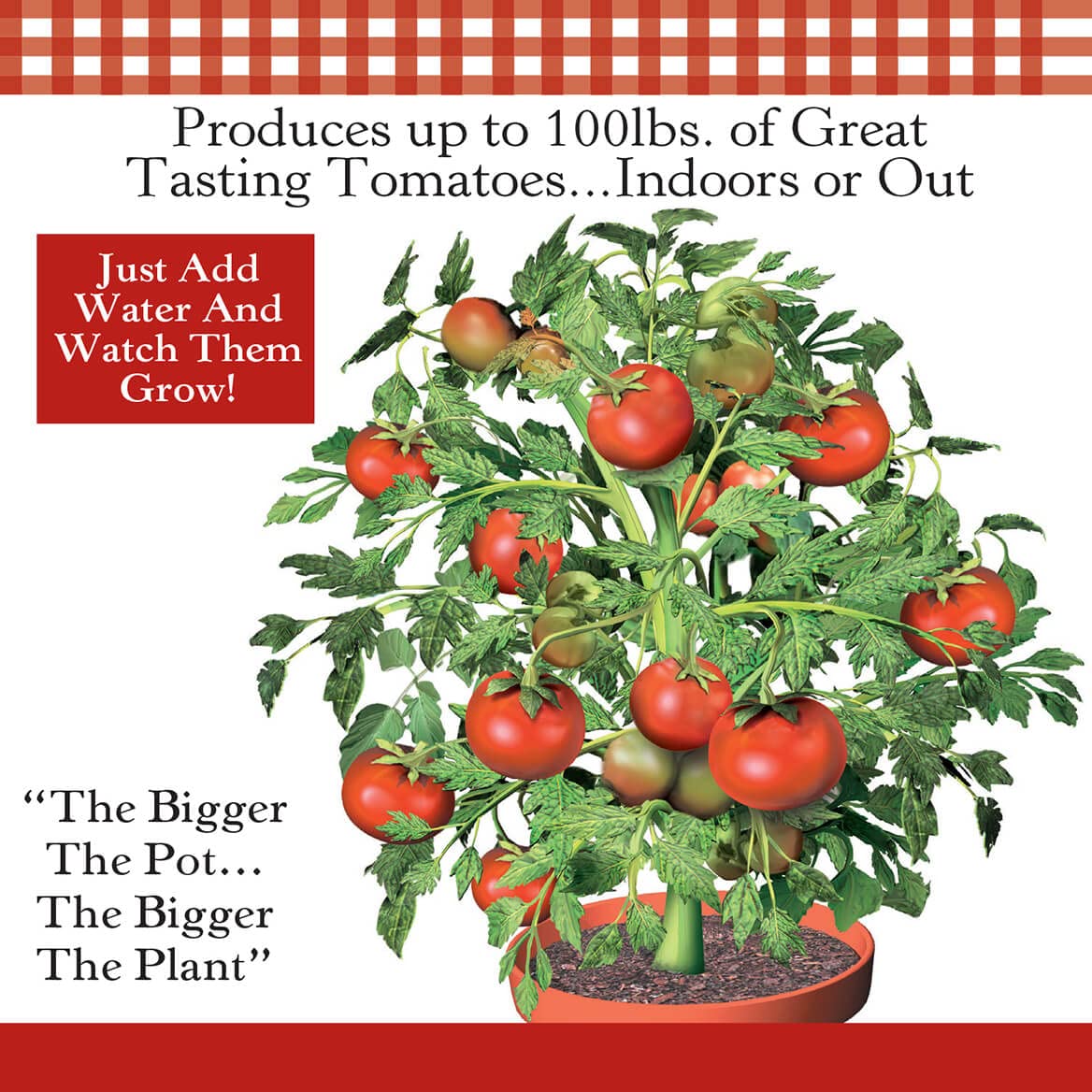Amazon.com : Fox Valley Traders Flower Pot Tomatoes S/3 : Patio, Lawn &  Garden