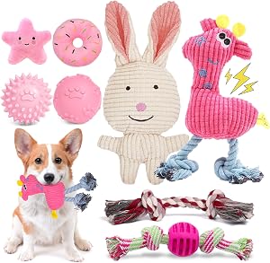 8 Pack Luxury Puppy Toys for Teething Small Dogs, Puppy Chew Toys with Squeaky Dog Toys, Balls and Rope Dog Chew Toys, Dog Toys to Keep Them Busy (Pink)